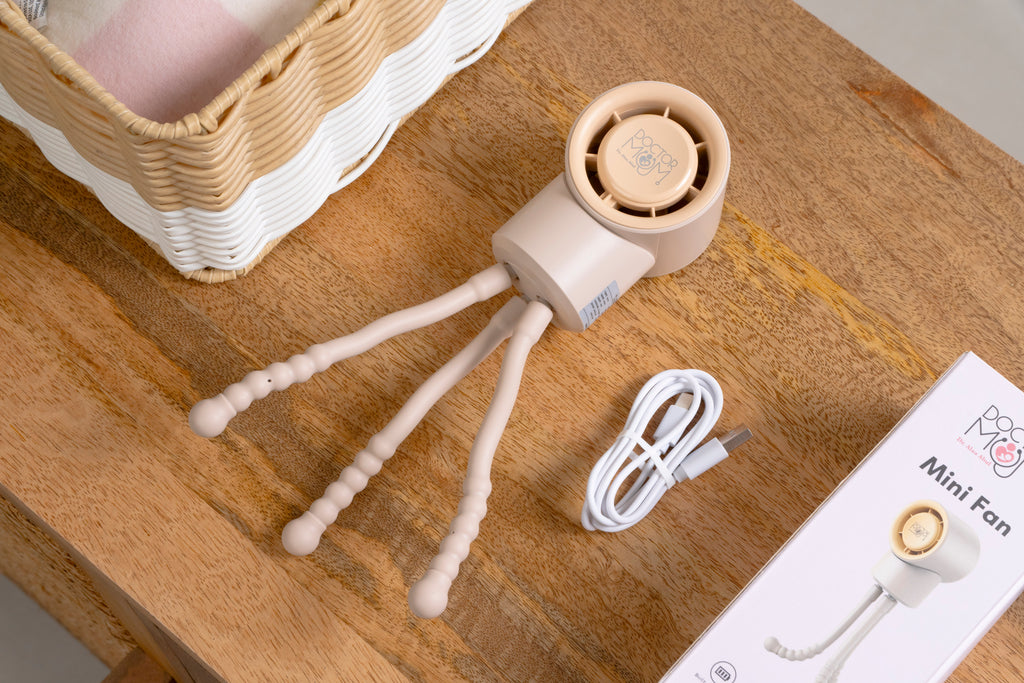 مروحة صغيرة للدكتورة مام