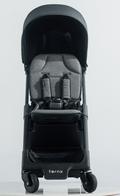 Carry On Luggage Stroller