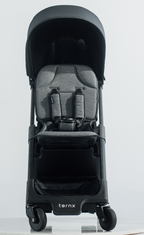 Carry On Luggage Stroller