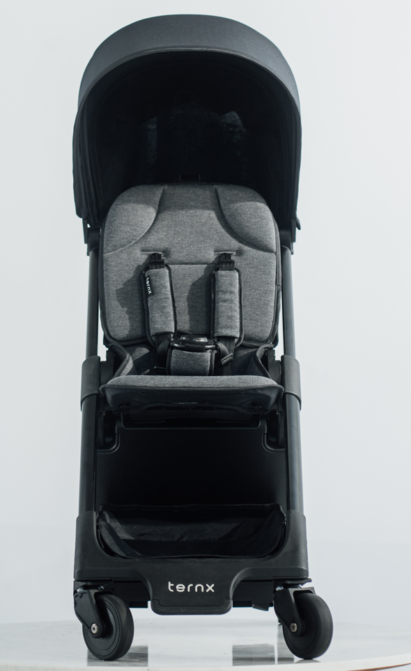 Carry On Luggage Stroller