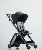 Carry On Luggage Stroller