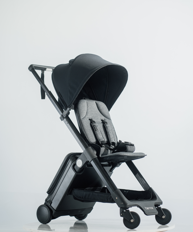 Carry On Luggage Stroller
