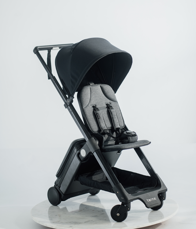 Carry On Luggage Stroller